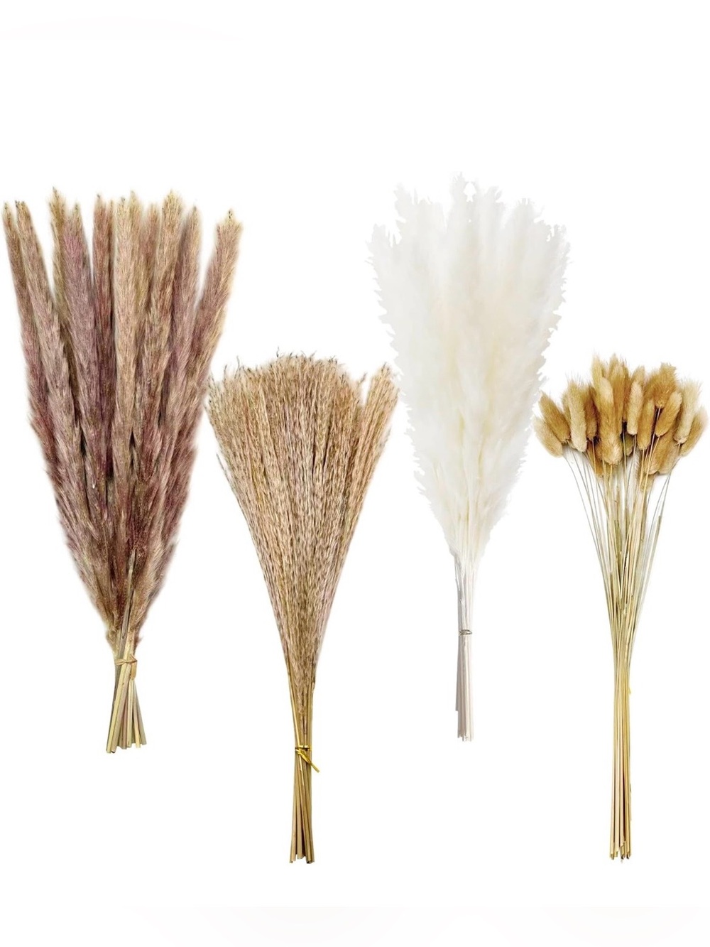 Natural Dried Pampas Grass and Wildflower Bundle - White & Tan